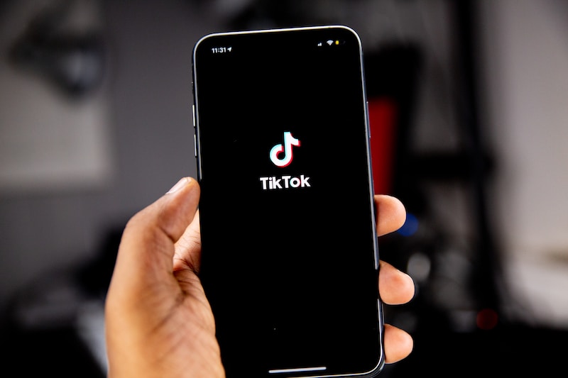 How TikTok Celebrities Are Shaping Online Culture and Trends